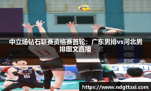 美嘉体育官网