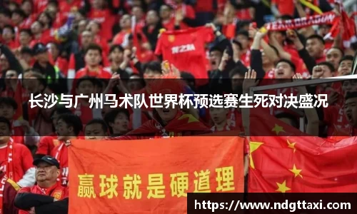 美嘉体育