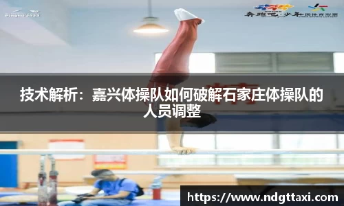 美嘉体育