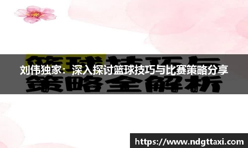 美嘉体育