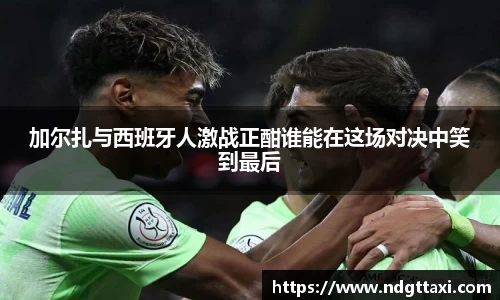 美嘉体育官方网站